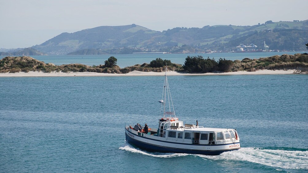 Otago Wildlife Cruise in New Zealand