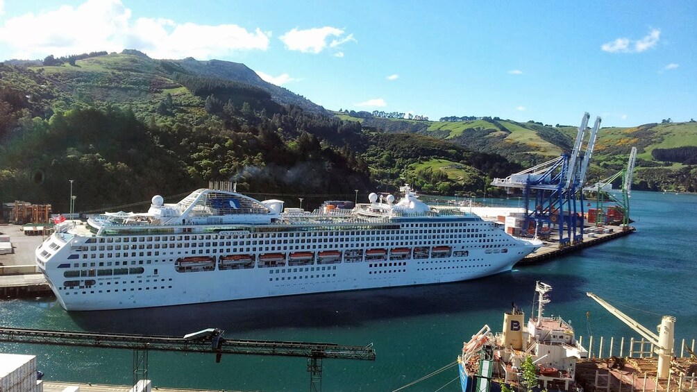 Otago Wildlife Cruise in New Zealand