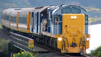Coastal Train Shore Excursion with City Sightseeing