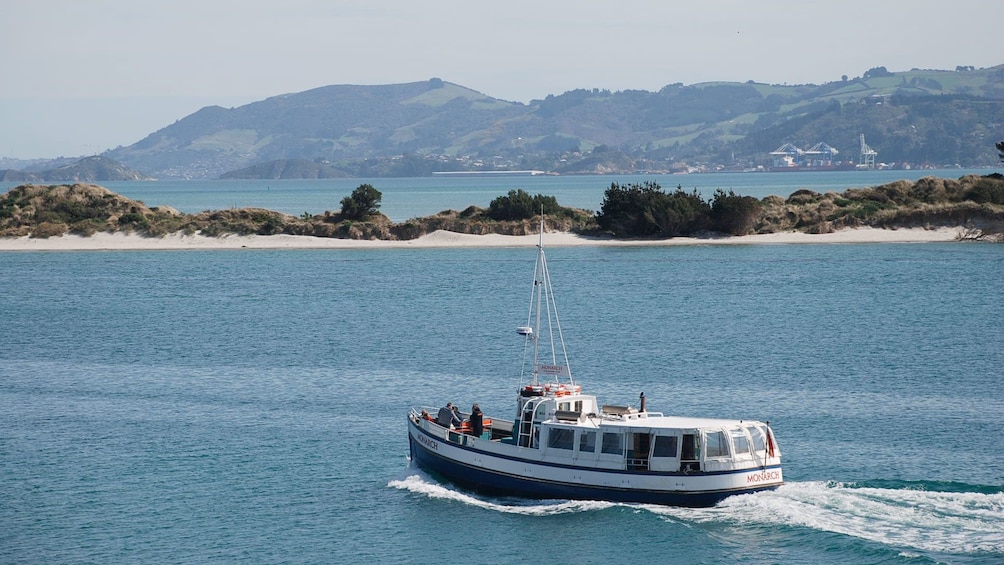 Dunedin Cruise Otago Cruise and Castle in Christchurch