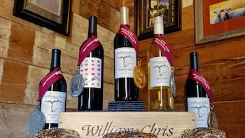 Texas Hill Country & LBJ Ranch Tour with Wine tasting option
