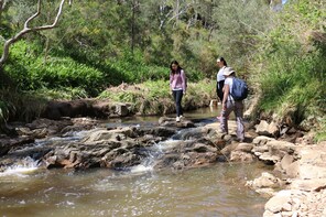 Half-Day Hiking Tour in Morialta Conservation Park