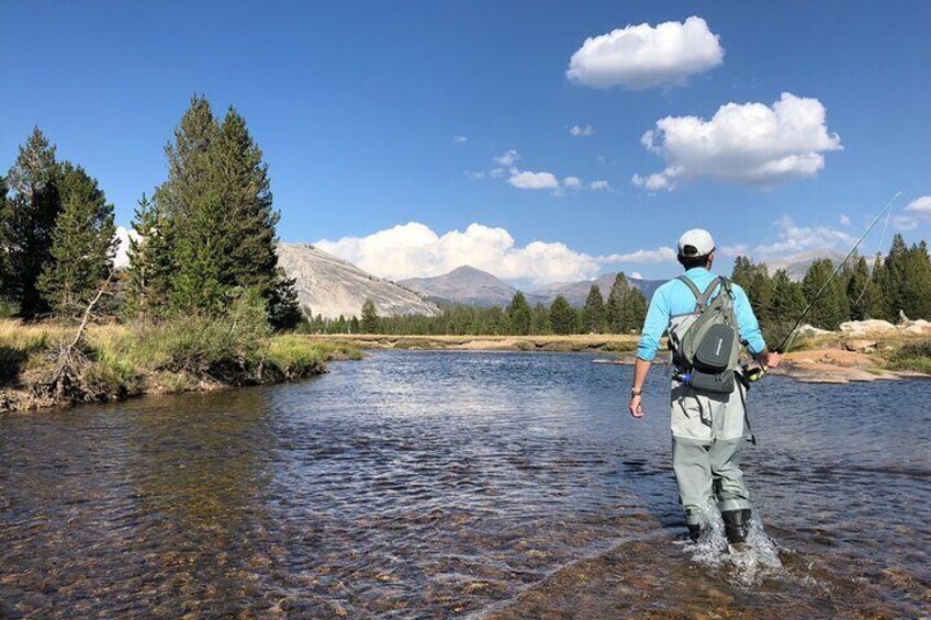 Private High Country Fly Fishing Adventure