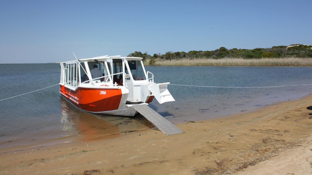 Coorong Ultimate Cruise