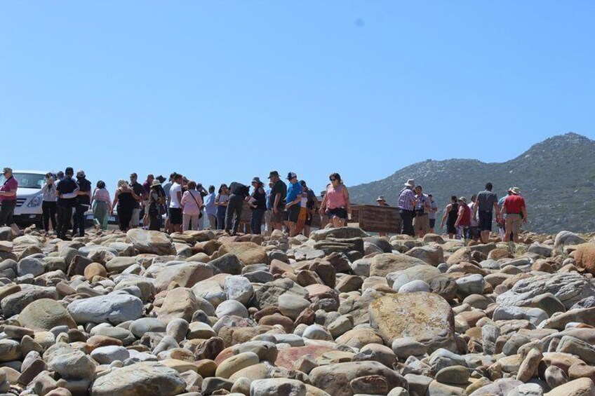 Rocks at Cape of Good Hope