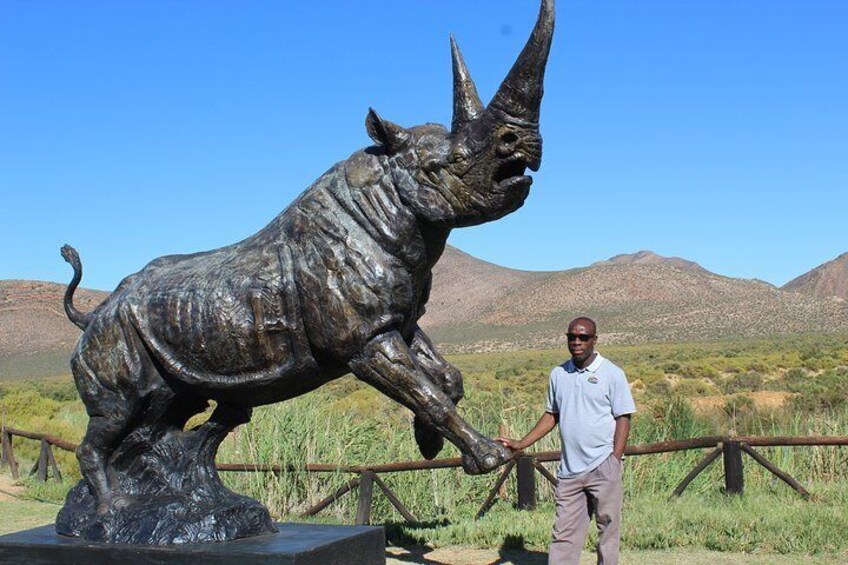 Rhino Statue