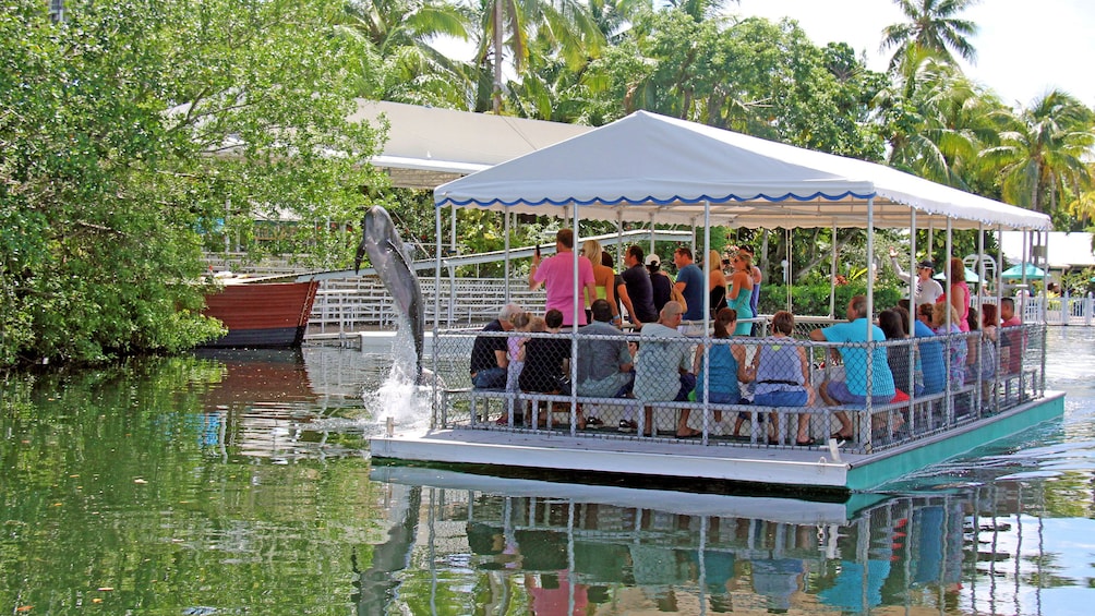 Show item 5 of 8. Boat sail at Theater of the Sea in Islamorada, Florida