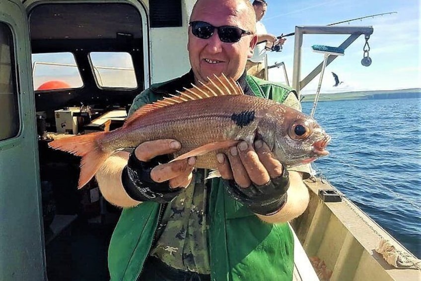 Deep sea fishing from Inisheer, Aran Islands. Galway. Private guided. 5 hours.