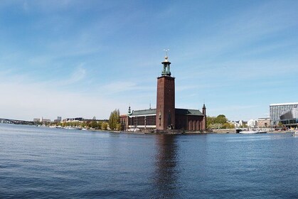 Private Stockholm Top attractions all-inclusive Gran Tour 1 day