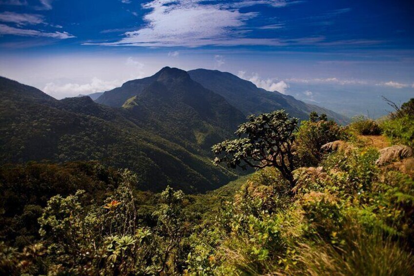 Nuawara Eliya Horton Plains Tea Plantaition and Water Fall with Lunch