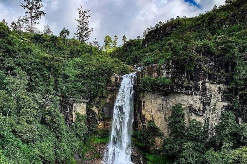 Nuawara Eliya Horton Plains Tea Plantaition and Water Fall with Lunch