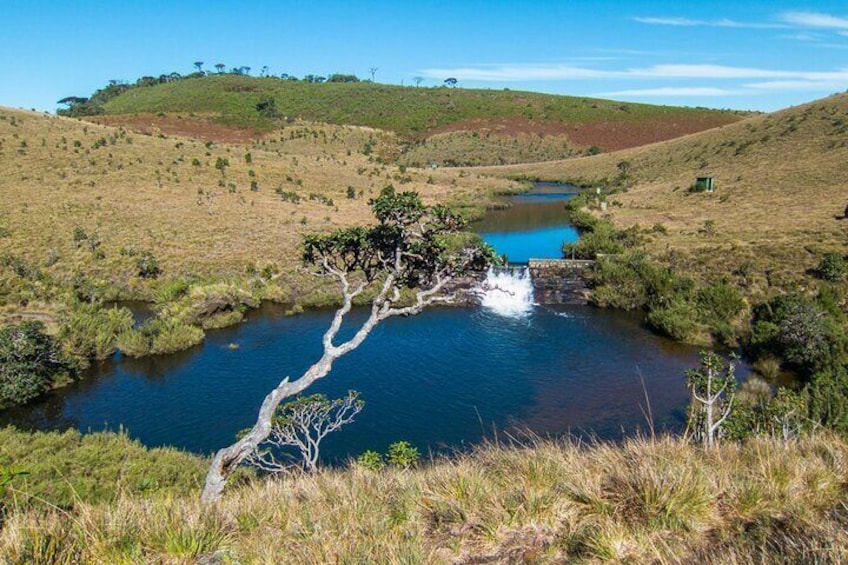 Nuawara Eliya Horton Plains Tea Plantaition and Water Fall with Lunch