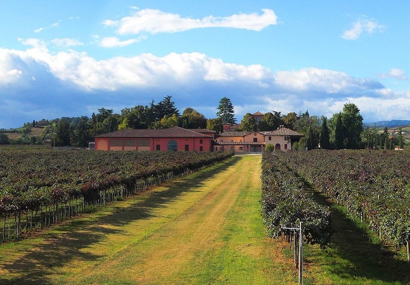 Discover Ferrari & Pavarotti Land Tour