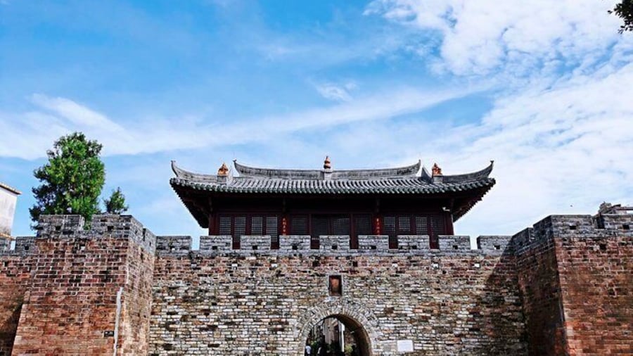 Cruise Excursion Day Trip in Shenzhen: Dongmen Old Street, Dapeng Old City etc.