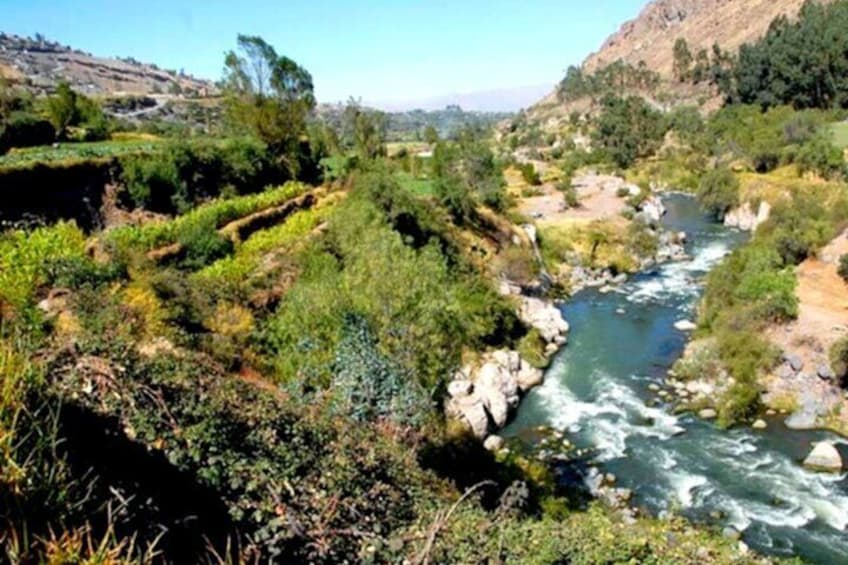 Chilina valley Arequipa