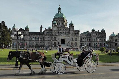 Incredible Walking Tour For Couples in Romantic Victoria