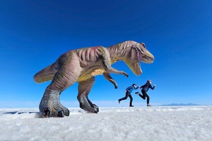 Full Uyuni Salt Flats 2 DAYS/1 NIGHT Private Service