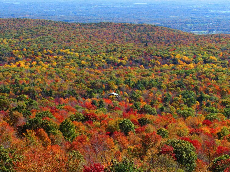 Private Autumn Helicopter Tour From Westchester (4-5 People)