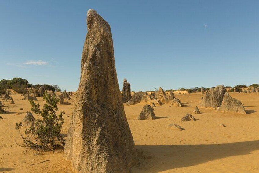 Ancient Echoes: Exploring Callanish’s Stone Circles