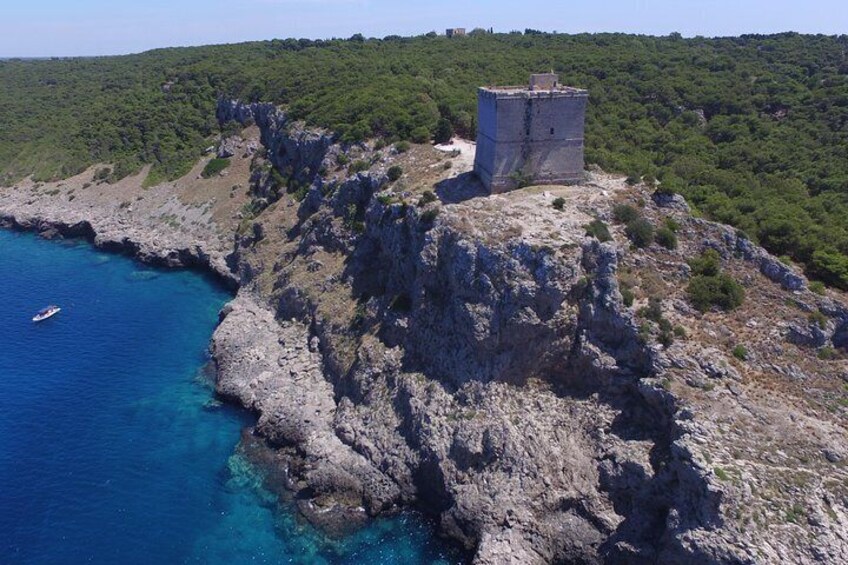 Tour in barca a Porto Selvaggio e le sue grotte