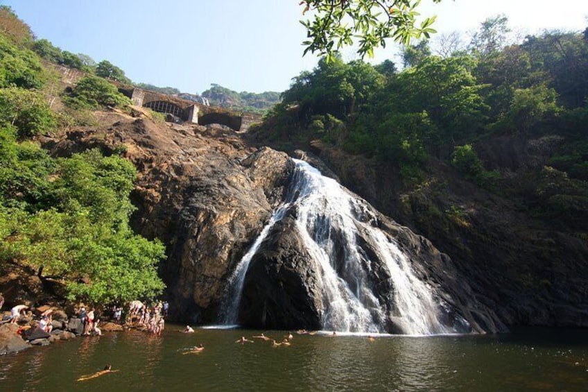 Private Dudhsagar waterfalls & Spice Plantation with Lunch from Mormugao Port