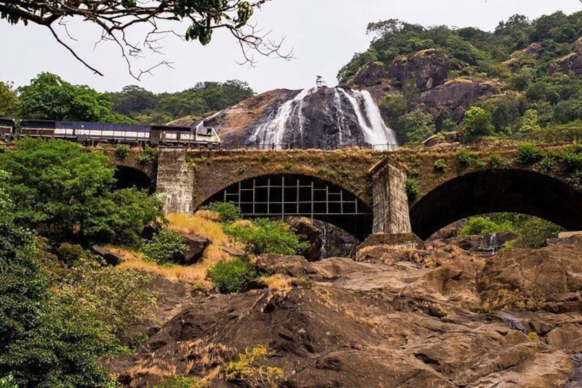 Private Dudhsagar waterfalls & Spice Plantation with Lunch from Mormugao Port