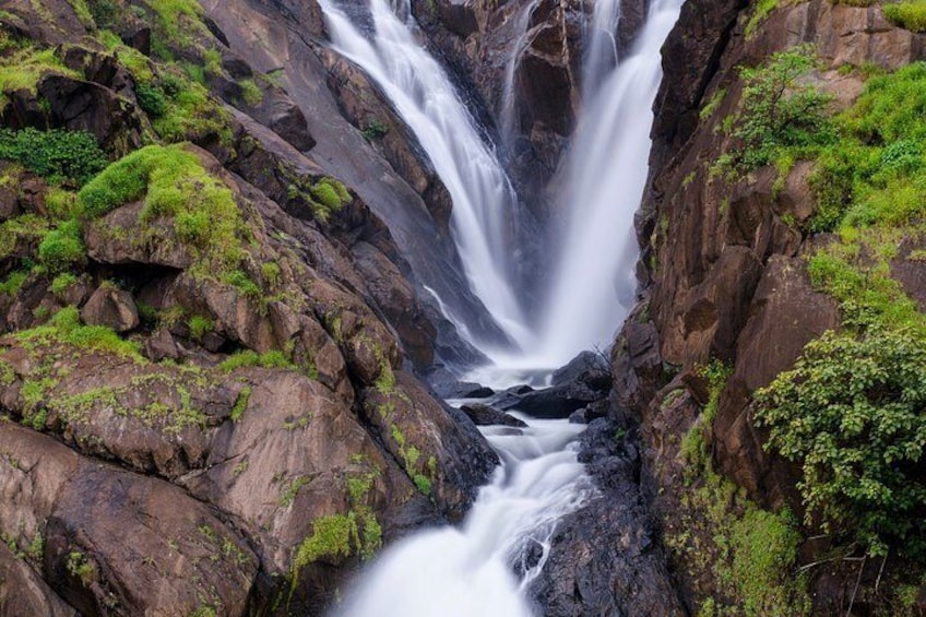 Private Dudhsagar waterfalls & Spice Plantation with Lunch from Mormugao Port