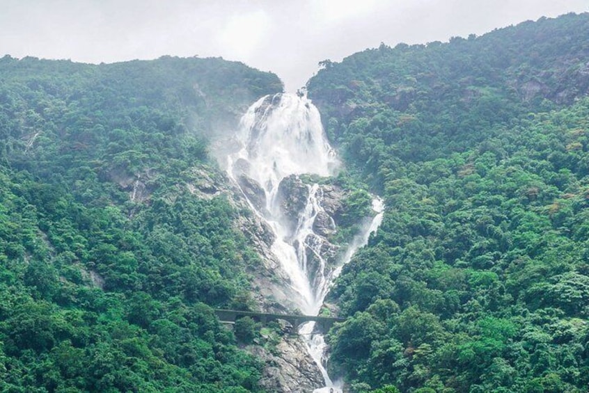 Private Dudhsagar waterfalls & Spice Plantation with Lunch from Mormugao Port