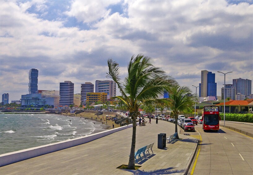 Veracruz Hop-on Hop-off City Tour 