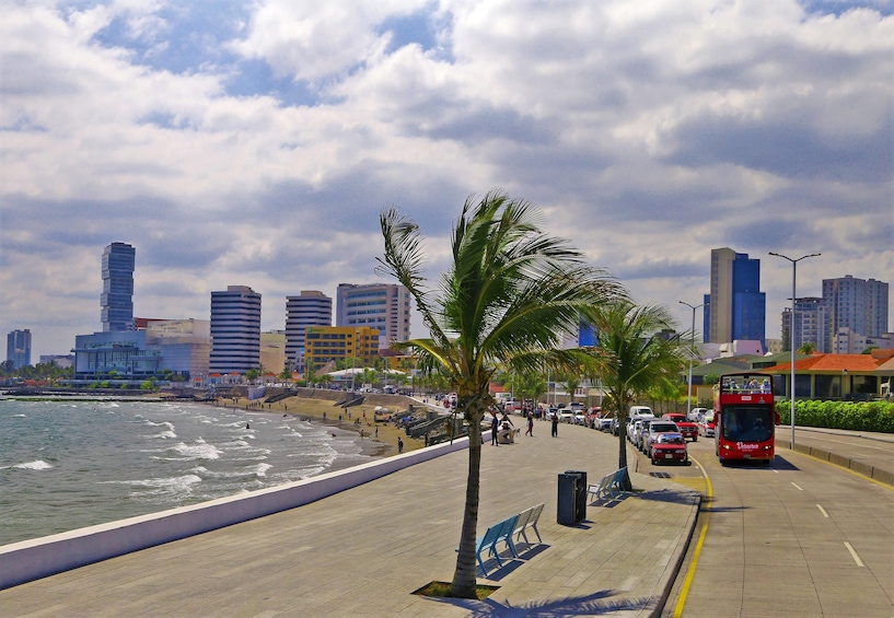 Veracruz Hop-on Hop-off City Tour