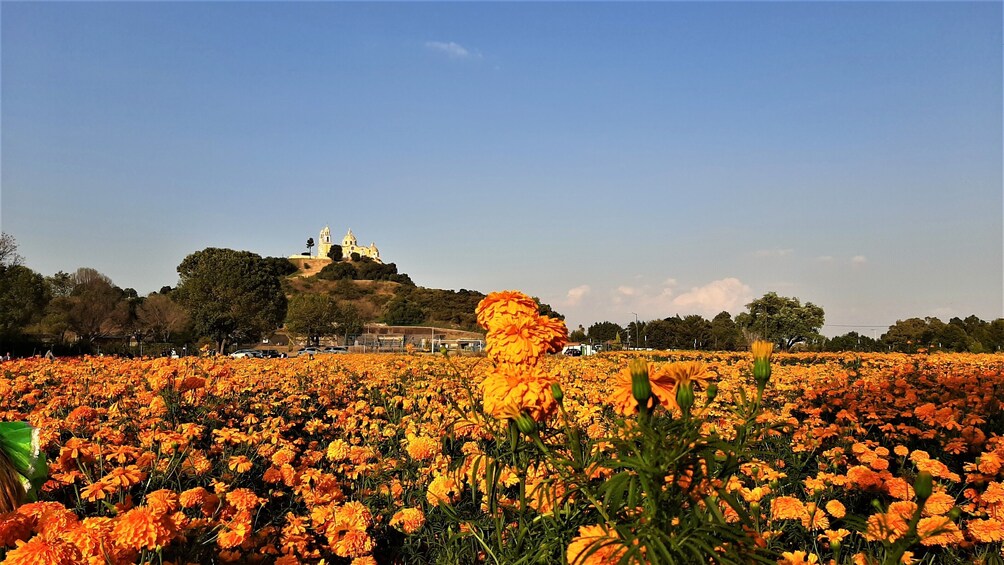 Turibus Hop-on Hop-off City Tour Puebla and Magical Towns