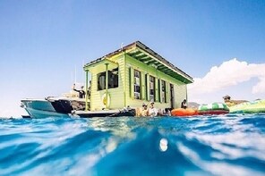 St John Lime Out Snorkel with Taco Bar Lunch & Open Bar