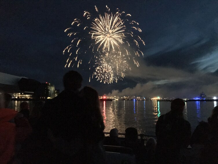 Champagne & Fireworks New Year's Eve Midnight Cruise