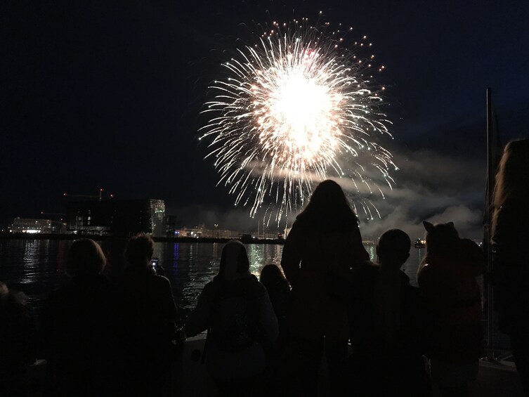 Champagne & Fireworks New Year's Eve Midnight Cruise