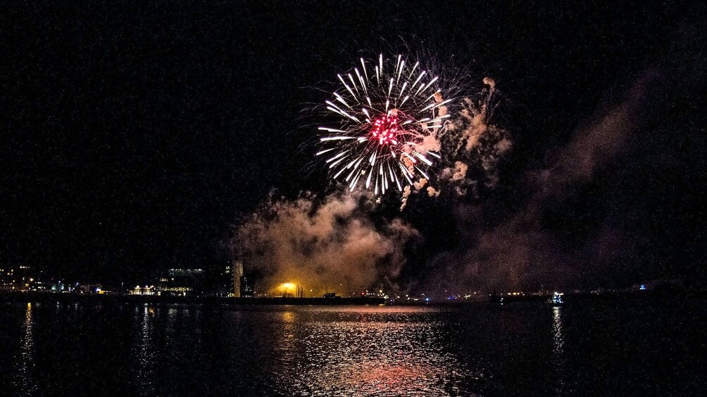 Fireworks exploding in a harbor