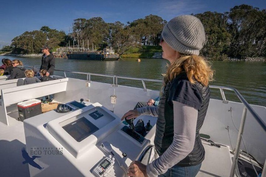 Elkhorn Slough Wildlife Tour