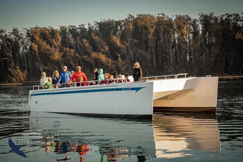 Elkhorn Slough Wildlife Tour