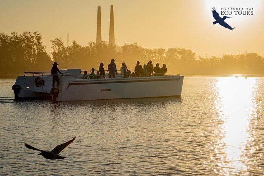 Elkhorn Slough Wildlife Tour