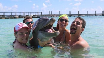 Dolphin Encounter & Beach Break