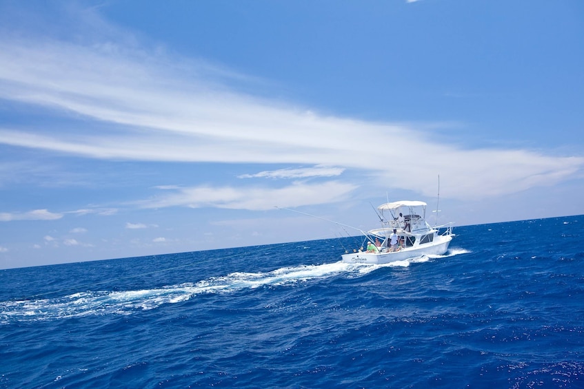 Deep Sea Sport Fishing in Jamaica