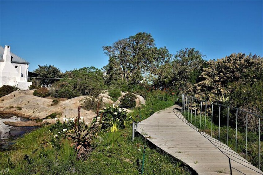 Private Tour : West Coast Nature E-bike with Wildlife & Darling Brew