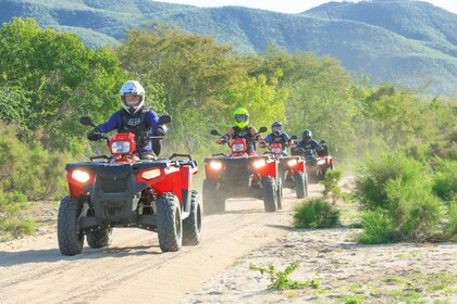Desert quad bike & Canyon Adventure with lunch