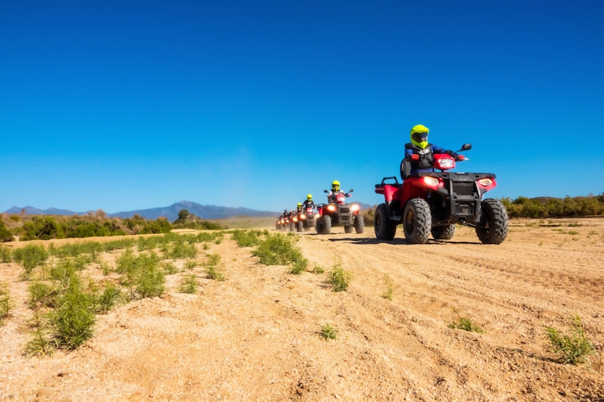 ATV Desert & Canyon Adventure