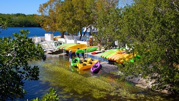 Full-Day Kayak Rental