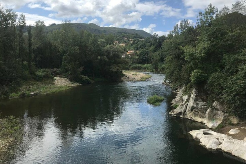 Nalon, Asturias' largest river