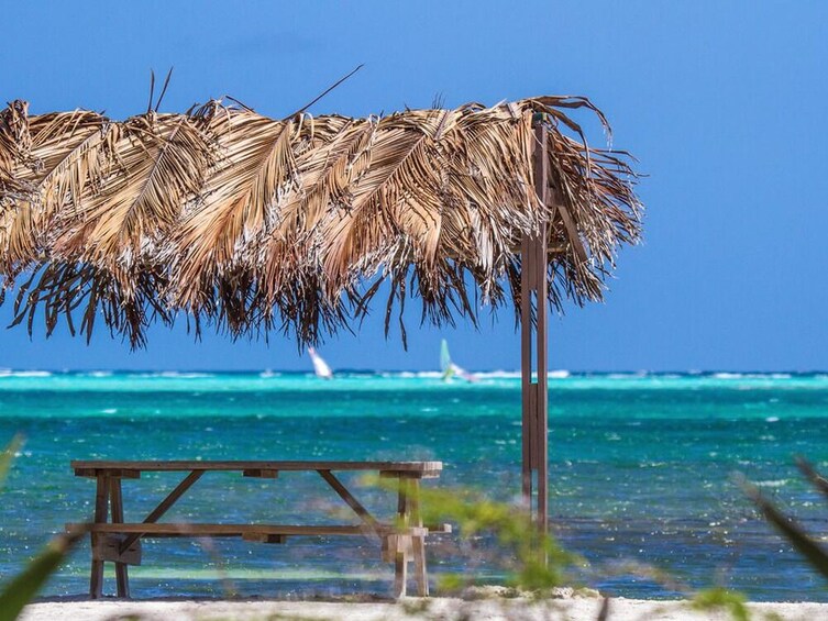 Best of Bonaire