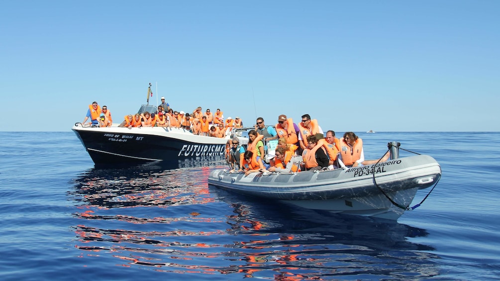 Tour groups enjoying their whale watching trip in Regional Portugal Azores Islands