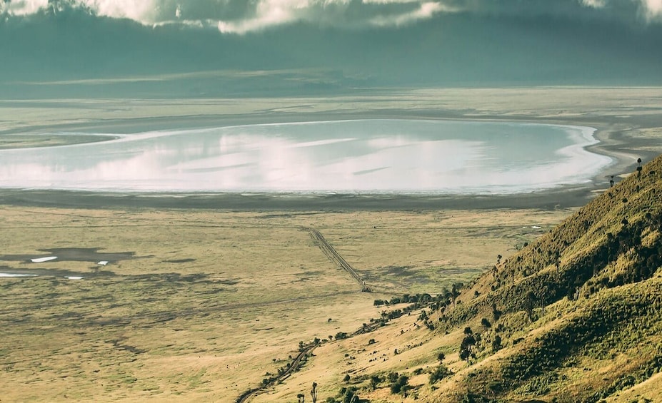 Ngorongoro Crater Day Tour 