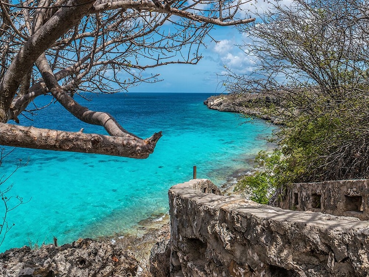 Bonaire Day Tour