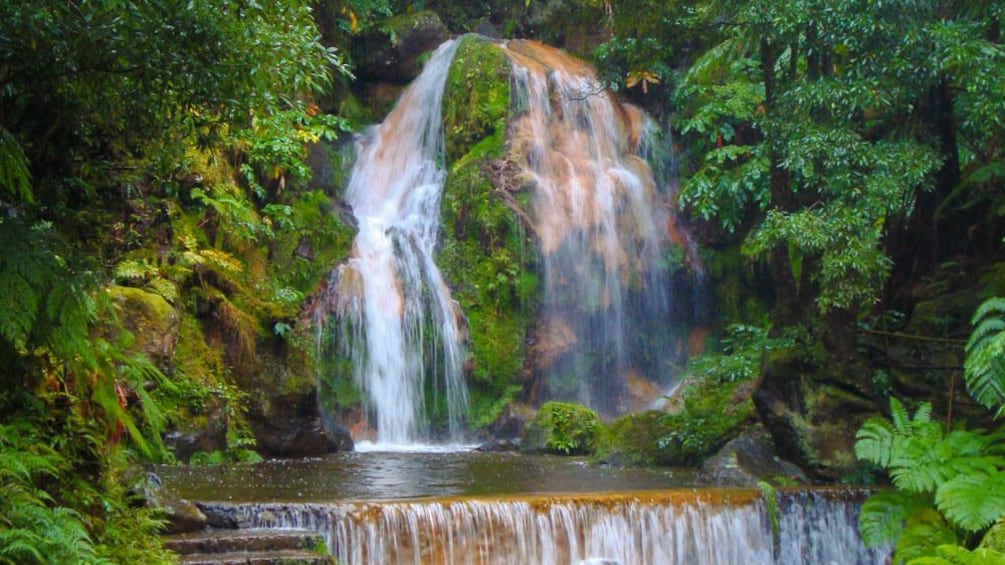 Waterfall flowing around beautiful rainforest area.